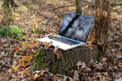 Remote Work from Georgia