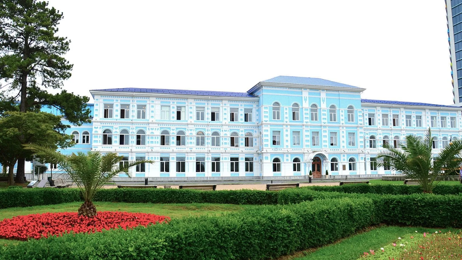 Top 10 Universities to study Medicine in Georgia