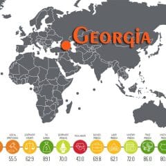 Georgia Economy Report