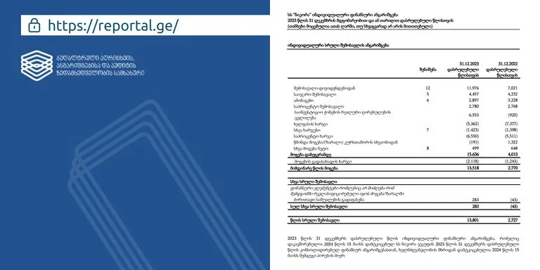 financial statements SARAS