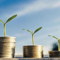 Withholding Tax on Capital Extraction Through Georgia, Cyprus, and Malta