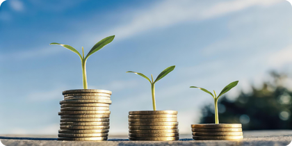 Withholding Tax on Capital Extraction Through Georgia, Cyprus, and Malta